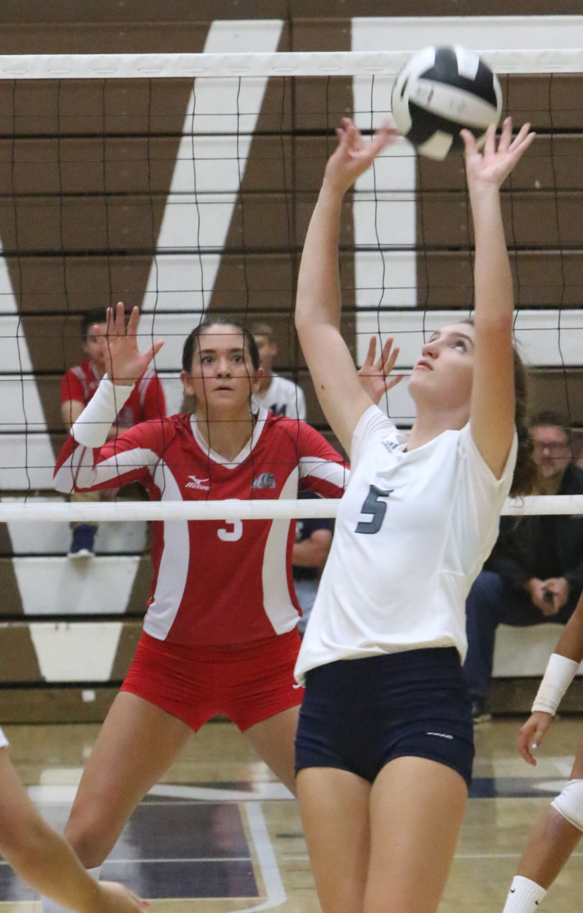 Girls volleyball - Crown Point at Michigan City